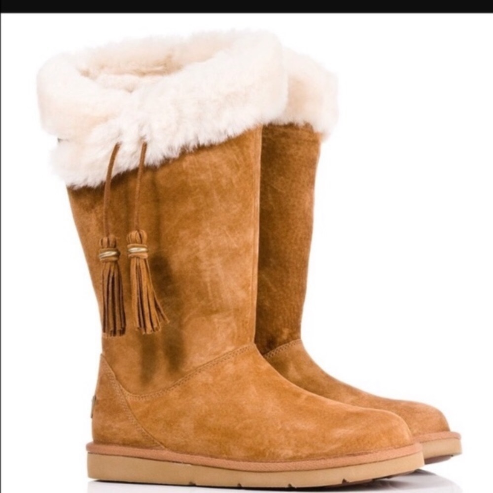 Plumdale Uggs size 8